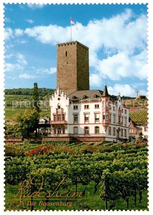 Ruedesheim Rhein Bosenburg Weinberge