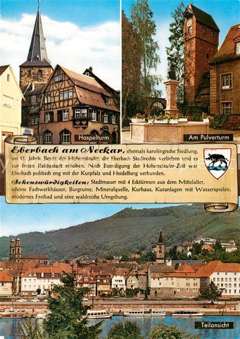Eberbach Neckar Haspelturm Pulverturm Brunnen Blick übe