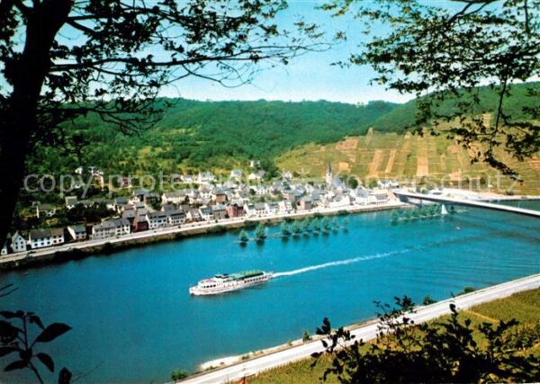 Loef Mosel Blick über die Mosel zur Stadt