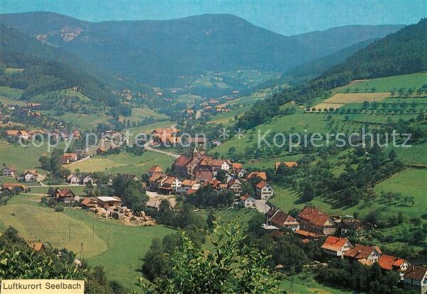Seelbach Schutter
