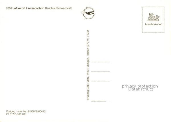 Lautenbach Renchtal Fliegeraufnahme – Bild 2