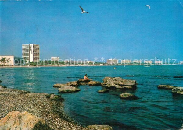 Mamaia Panorama