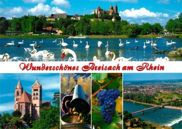 Breisach Rhein Stephansmünster Weinlese Reben Fliegera