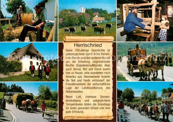 Herrischried Heuernte Schreinerei Trachten Heuwagen