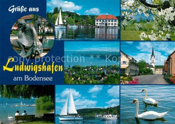 Ludwigshafen Bodensee Bootshafen Kirschblüte Fliegeraufnahme