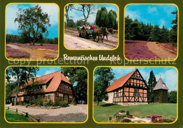 Undeloh Naturschutzpark Lüneburger Heide Pferde