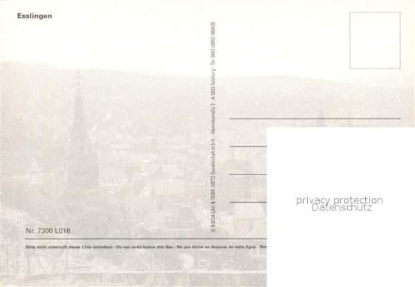 Esslingen Neckar Panorama mit Kirchen – Bild 2
