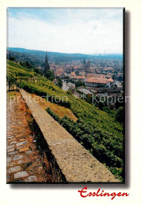 Esslingen Neckar Blick von der Burg