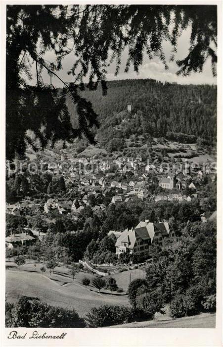 Bad Liebenzell Panorama