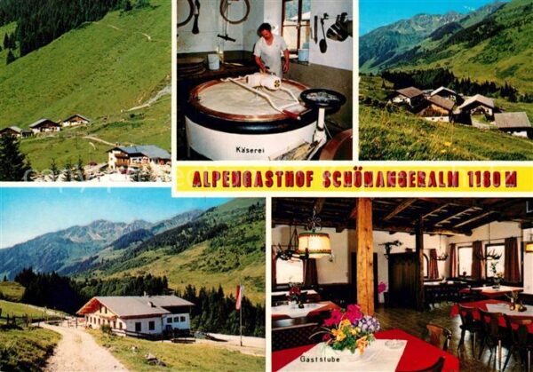 Wildschoenau Tirol Alpengasthof Schönangeralm