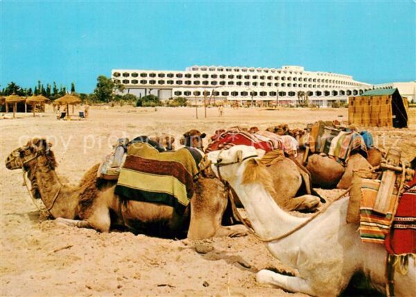 Hammamet Hotel Phenicia