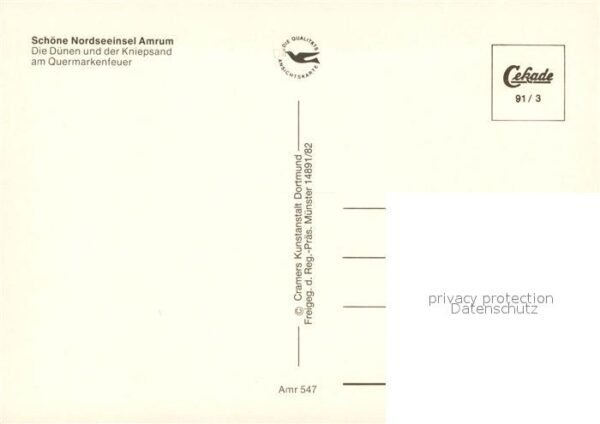 Insel Amrum Fliegeraufnahme mit Dünen und Kniepsand – Bild 2