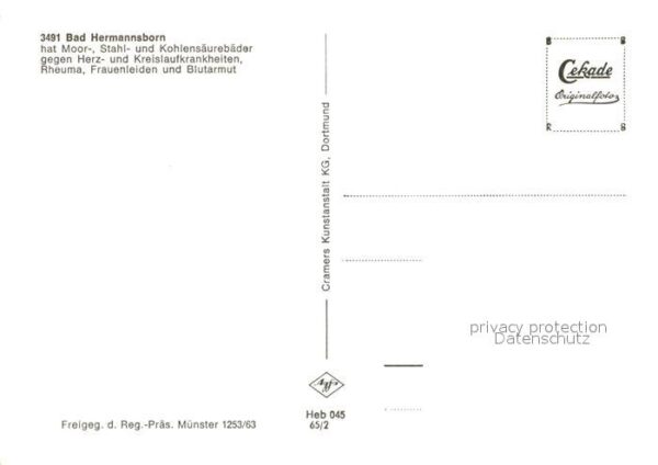 Bad Hermannsborn Fliegeraufnahme – Bild 2