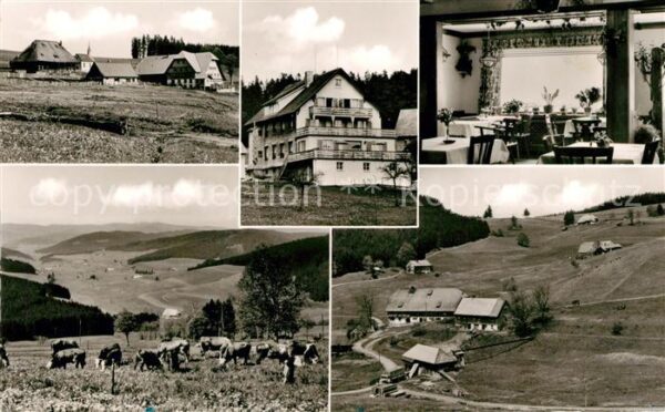 Schwaerzenbach Titisee-Neustadt Pension Haus Feldbergblick Landschaftsp