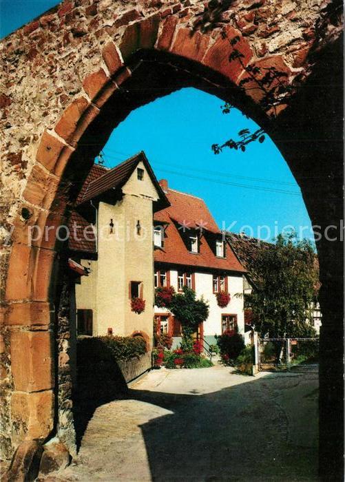 Ladenburg Jesuitenhof