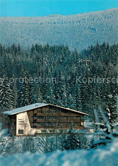 Lohberg Lam Pension Grüne Wiese Bayerischer Wald im