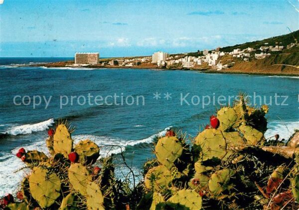 Bajamar Tenerife Punta del Hidalgo desde Bajamar