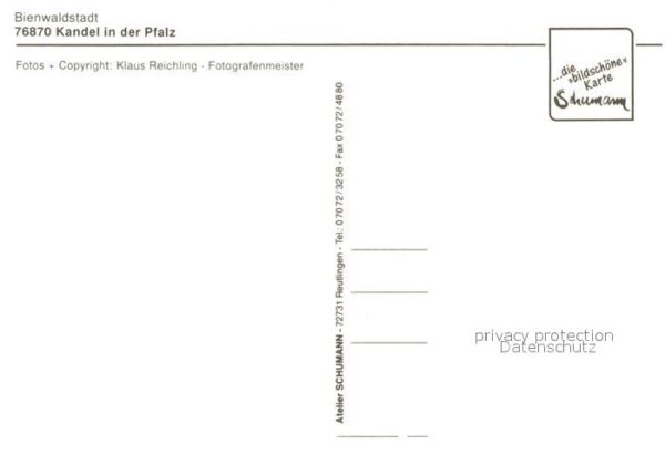Kandel Pfalz Bienwaldstadt Kirche Schwanenteich Herb – Bild 2