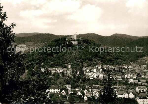 Biedenkopf Stadtpanorama mit Blick zum Schloss Luf