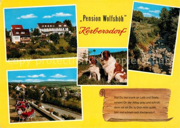 Kerbersdorf Pension Wolfshöh Terrasse Bernhardiner
