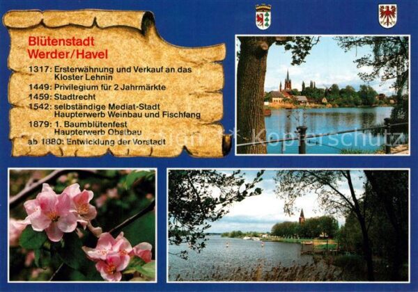 Werder Havel Kirschblüten Panorama