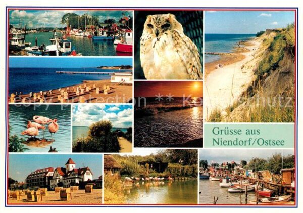 Niendorf Ostseebad Hafen Dünen Flamingo Steilküste