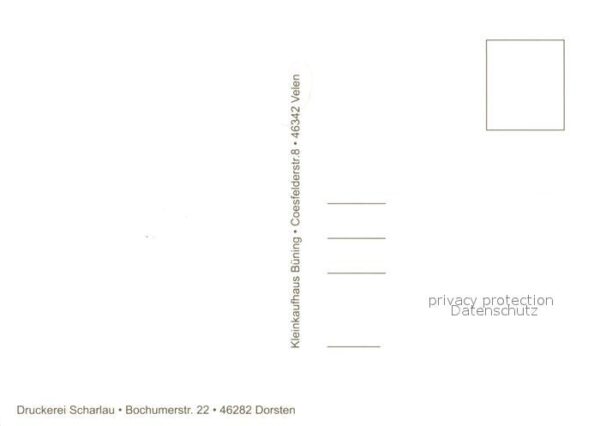 Velen Schloss – Bild 2
