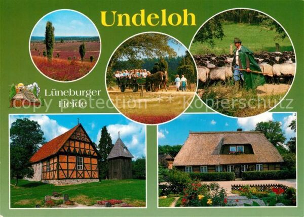 Undeloh im Naturschutzpark Lüneburger Heide Pfe