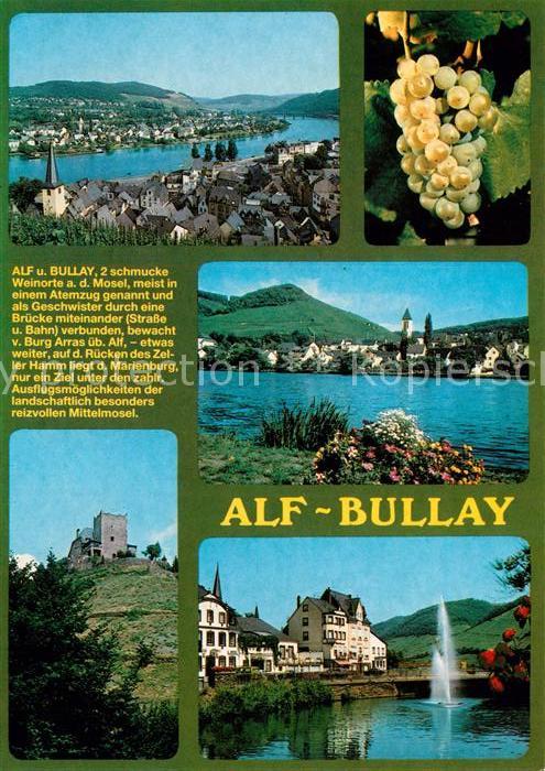 Alf Mosel Panorama Moselpartien Burgruine