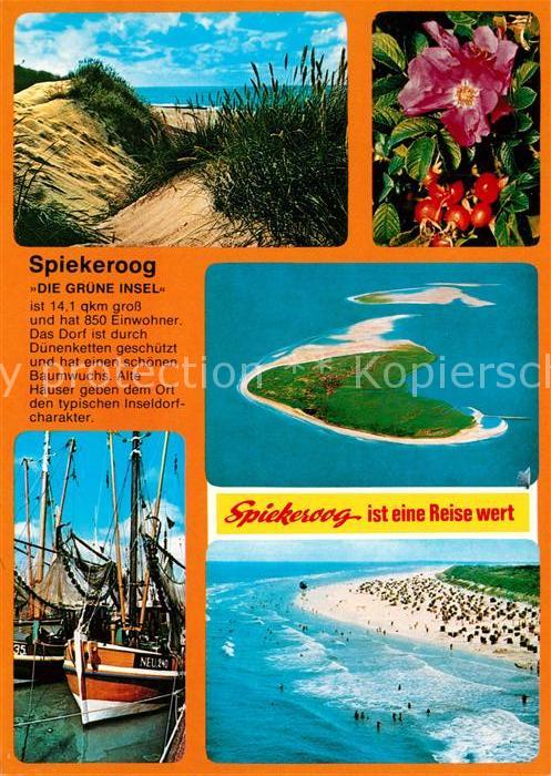 Spiekeroog Dünen Flora Fliegeraufnahmen Fischkutte