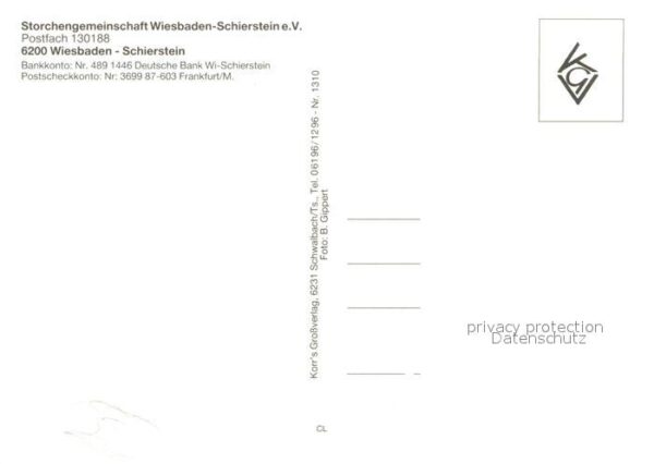 Schierstein Storchengemeinschaft – Bild 2