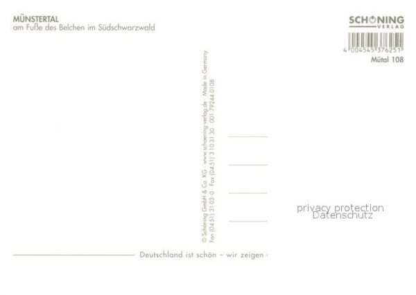 Muenstertal Schwarzwald am Fusse des Belchen Pferdplastik Kühe – Bild 2