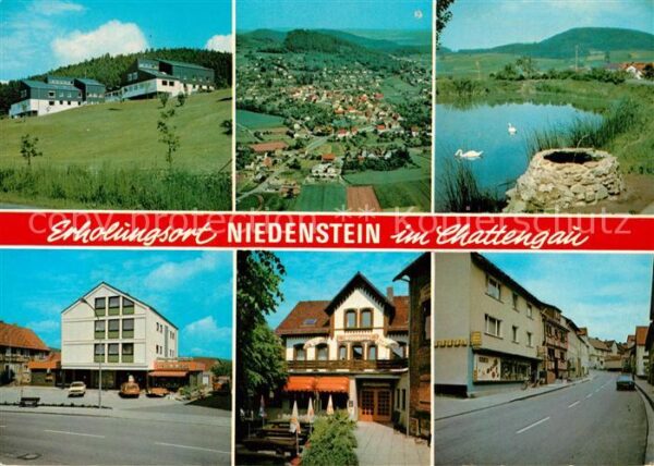 Niedenstein Fliegeraufnahme Teich Schwäne