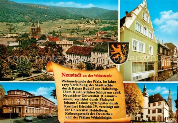 Neustadt Weinstrasse Panorama Saalbau ehemaliges Kurfürstlic