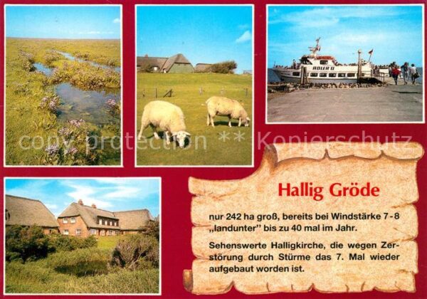 Hallig Groede Landschaftspanorama Schafe Häuser Hafen