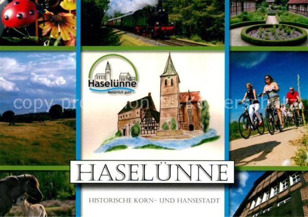 Haseluenne Historische Korn und Hansestadt Landsch