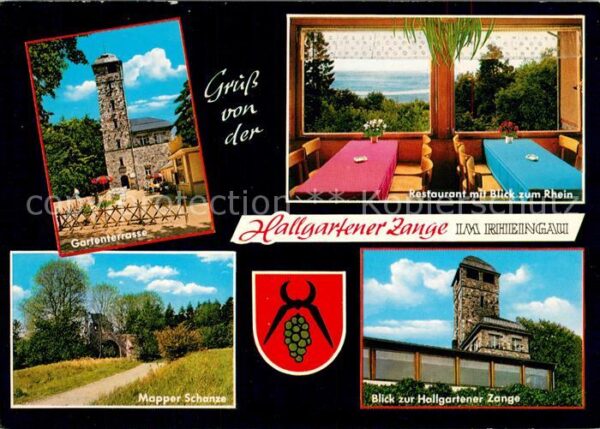 Hallgarten Rheingau Berggaststätte Zallgartener Zange Terra