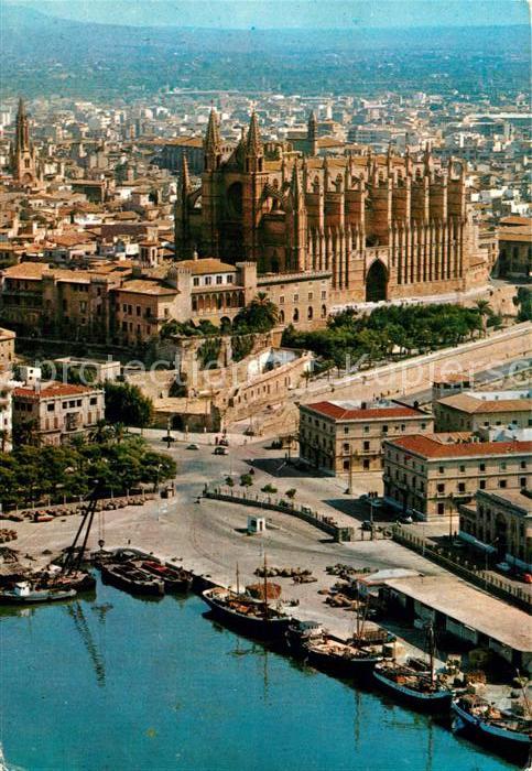 Palma de Mallorca Catedral vista aerea