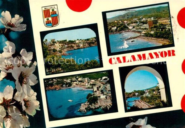 Calamayor Bucht Strand Blumen