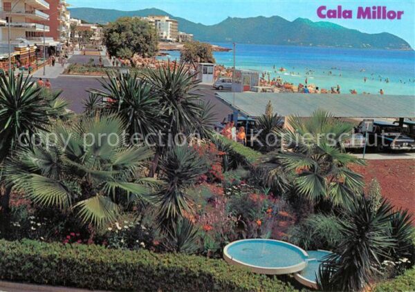 Cala Millor Mallorca Detalle Palmen Strand Promenade Küste