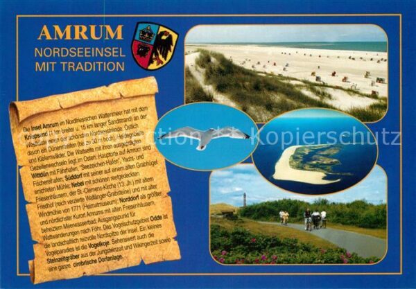 Amrum Strand Dünen Möwe Fahrradtour Fliegerau
