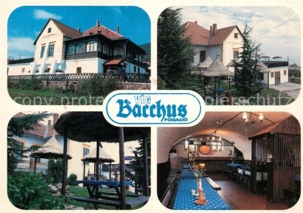 Badacsony VIG Bacchus Hotel Restaurant