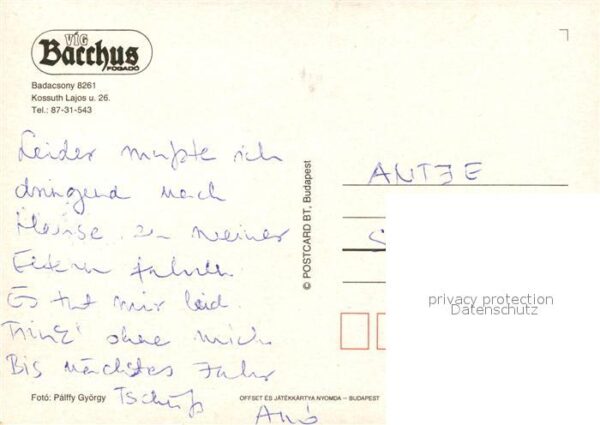 Badacsony VIG Bacchus Hotel Restaurant – Bild 2