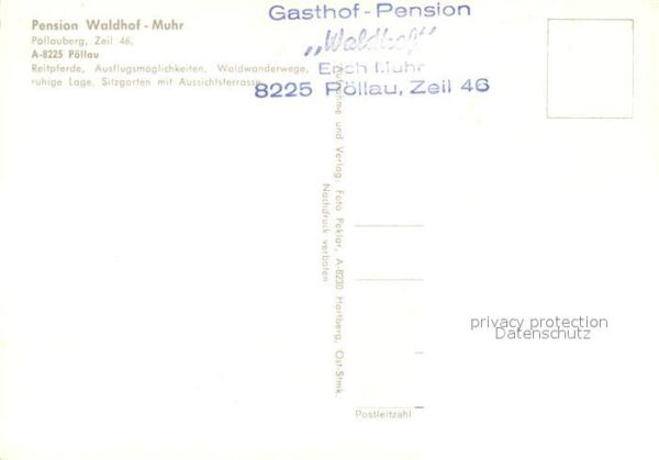 Poellau Pension Waldhof Muhr Reiten Kirche – Bild 2