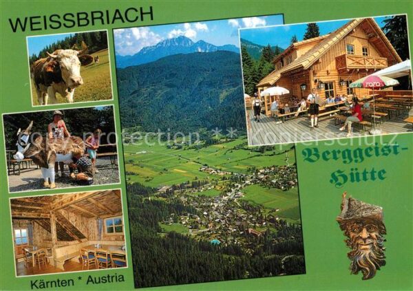 Weissbriach Berggeisthütte Almvieh Kühe Blick ins G