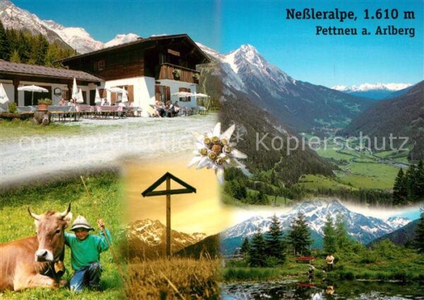 Pettnau Arlberg Nessleralpe Alm Jausenstation Alpenpano