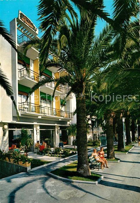 Diano Marina Hotel Miramare Palmen
