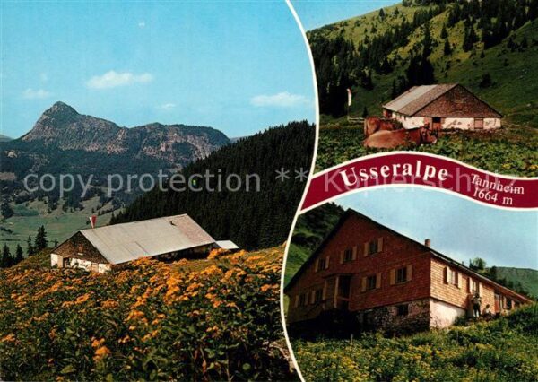 Tannheim Tirol Usseralpe Tannheimer Tal