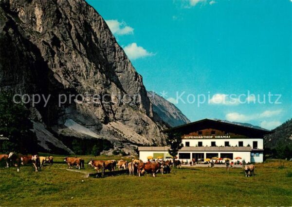 Pertisau Achensee Alpengasthof Gramai Falzthurntal Viehwe