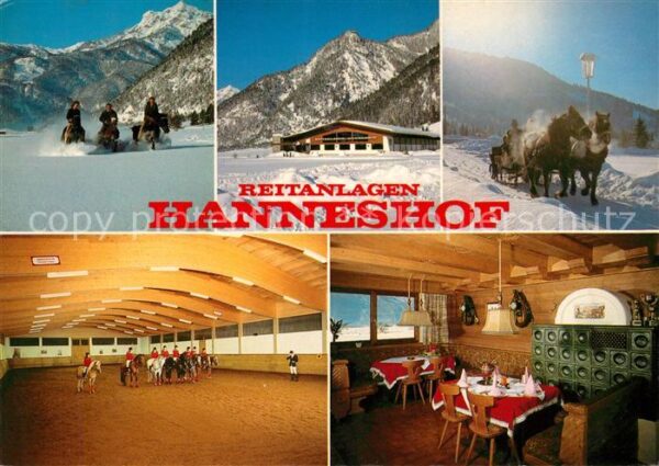 Erpfendorf Reitanlagen Hanneshof Reithalle Pferdes